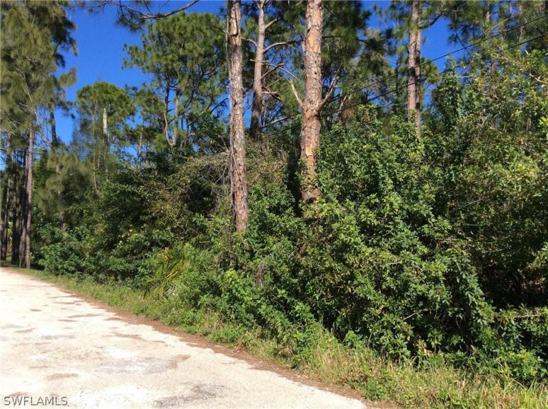 Property ID 219001605