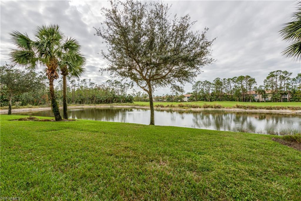 3935 Loblolly Bay DR 1-105 Naples, FL 34114 photo 11