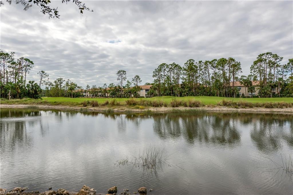 3935 Loblolly Bay DR 1-105 Naples, FL 34114 photo 12