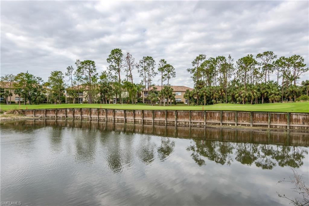 3935 Loblolly Bay DR 1-105 Naples, FL 34114 photo 20