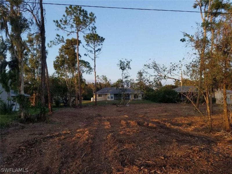 Property ID 217044273