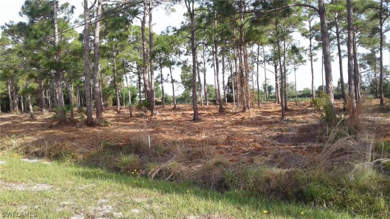 Property ID 217049474