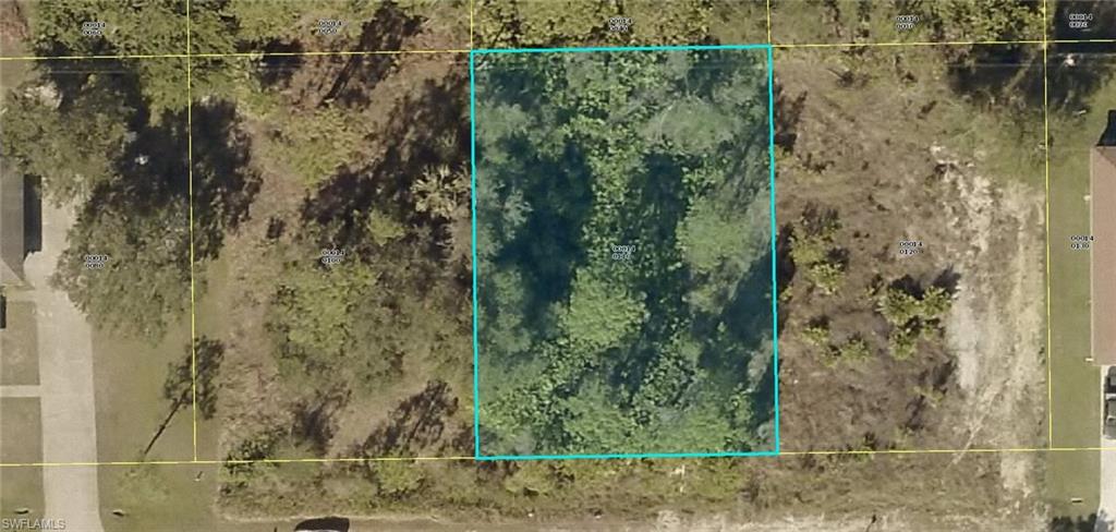 Property ID 218026775