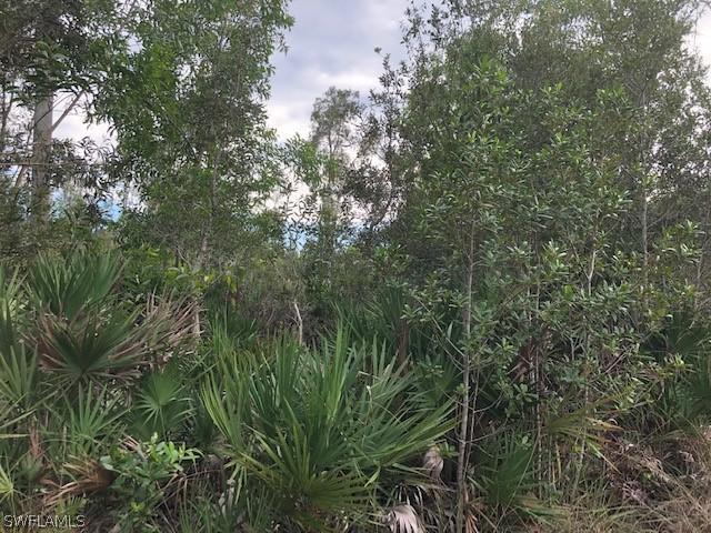 Property ID 218075376