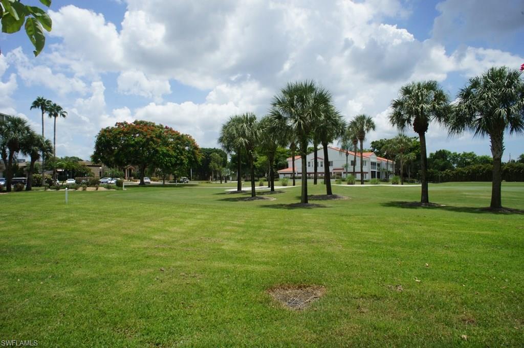 Property ID 217052744