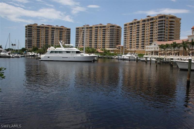 Property ID 217045246