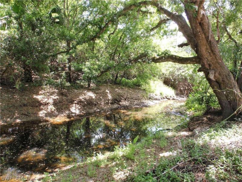 Property ID 218025146