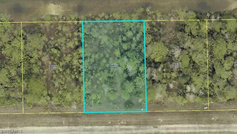 Property ID 217055982
