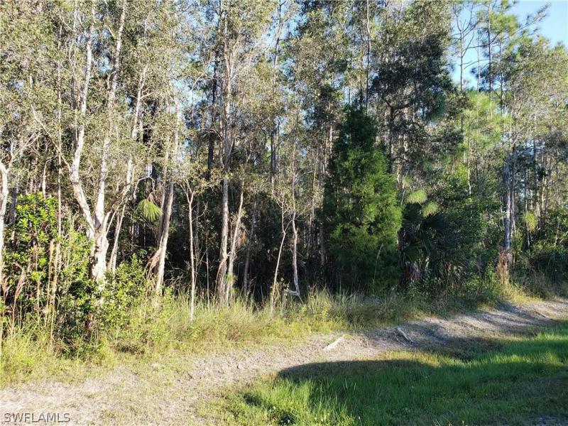 24199 Whip O Will, Bonita Springs, FL