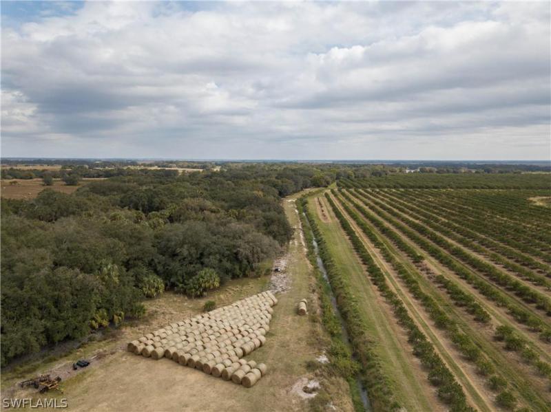 , Arcadia, FL