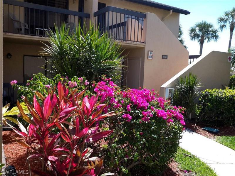 Property ID 218029686