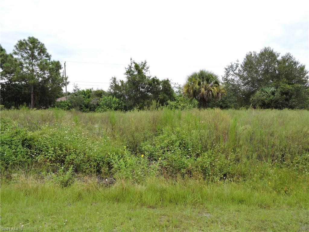 Property ID 217056754