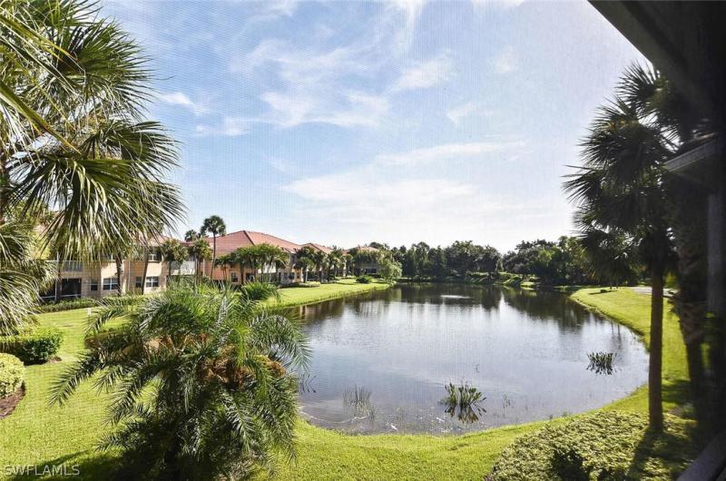 Property ID 218053521