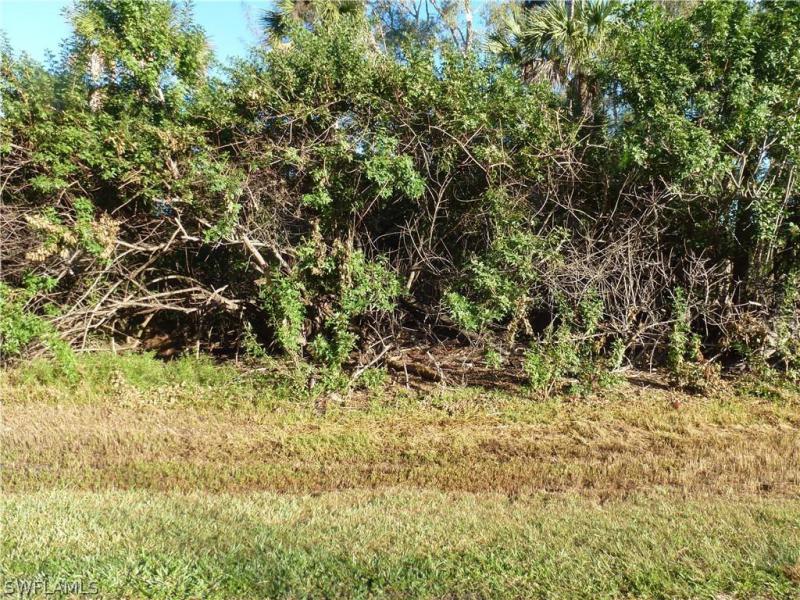 Property ID 218084121