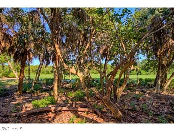 Property ID 218024688