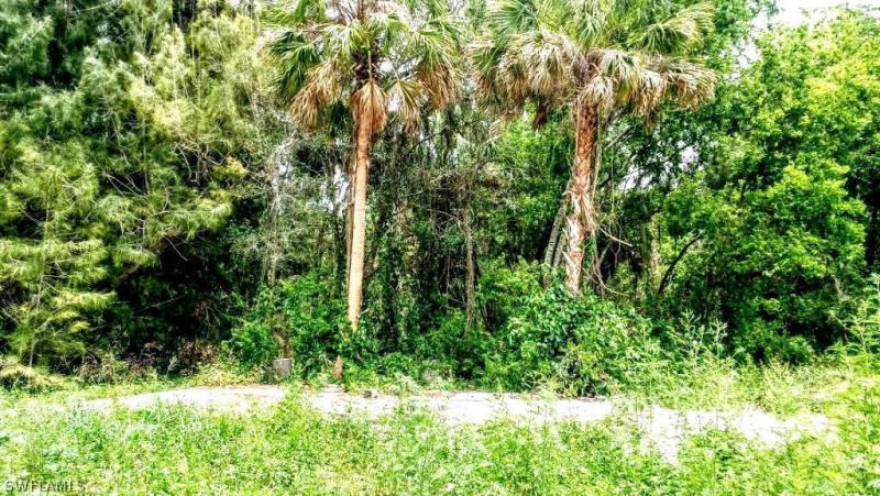 Property ID 217038756