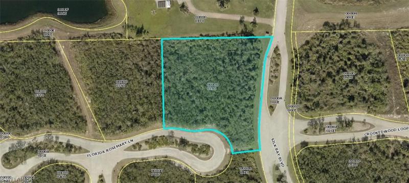 Property ID 218023356