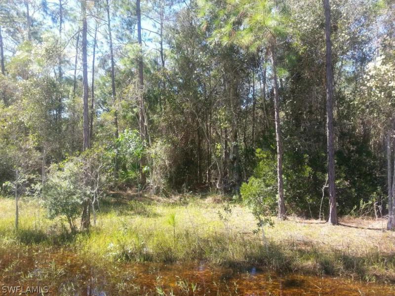 Property ID 214057823