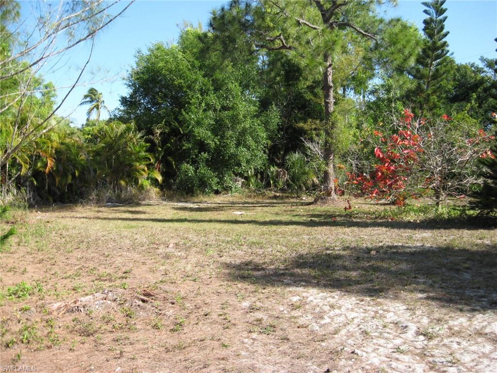 Property ID 218025258
