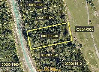 Property ID 217039325