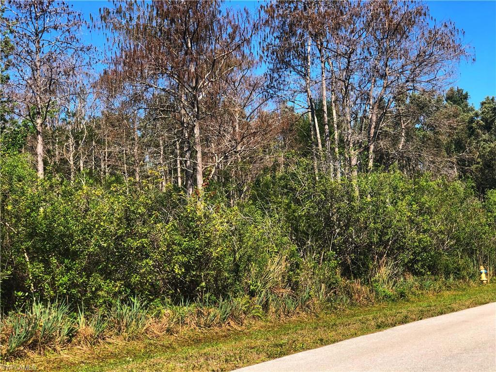 24410 Melaine, Bonita Springs, FL