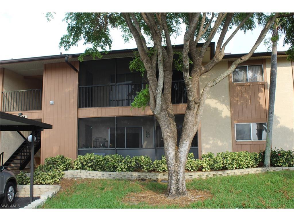 Property ID 217053828