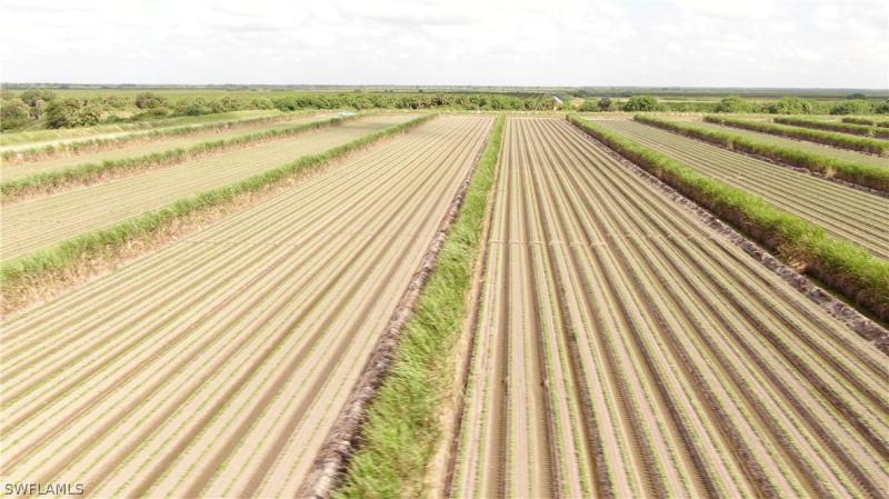 24790 County Road 833, CLEWISTON, FL