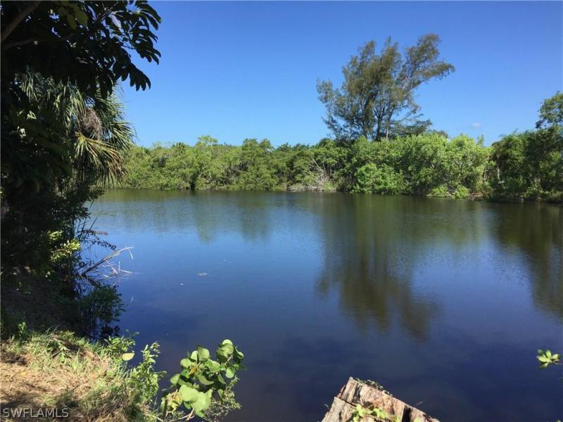 Property ID 217031729