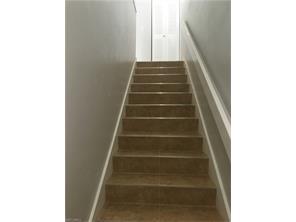 Property ID 217035963