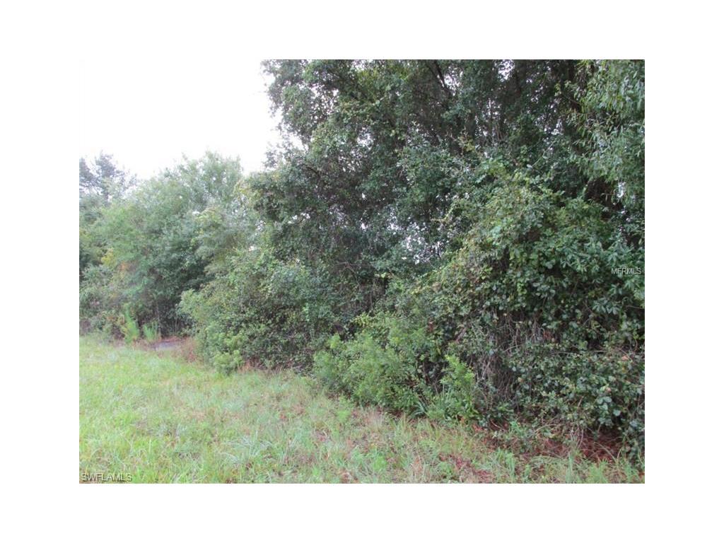 Property ID 217063863