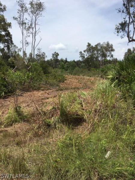 5686 Sandal, BOKEELIA, FL