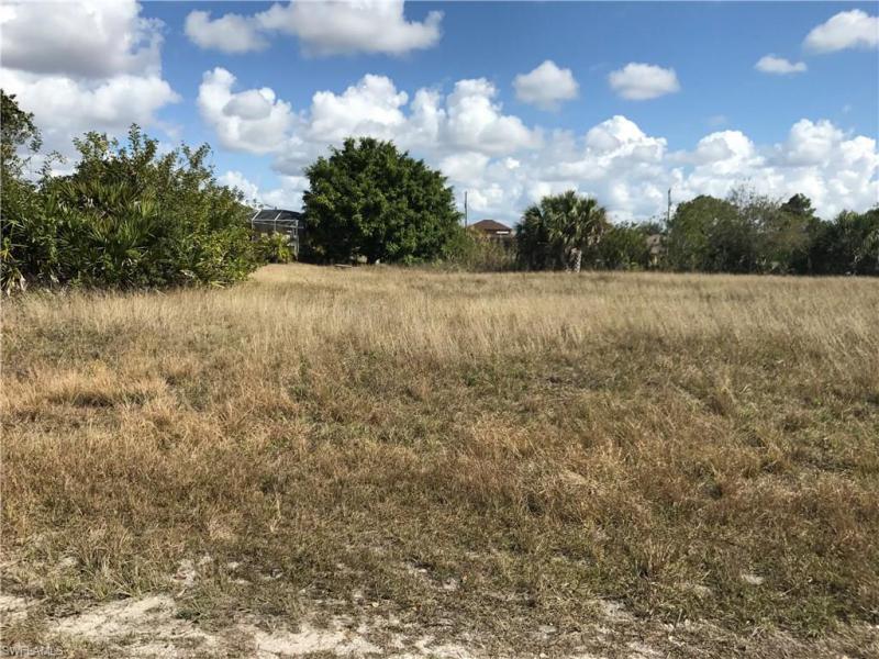 Property ID 217011998